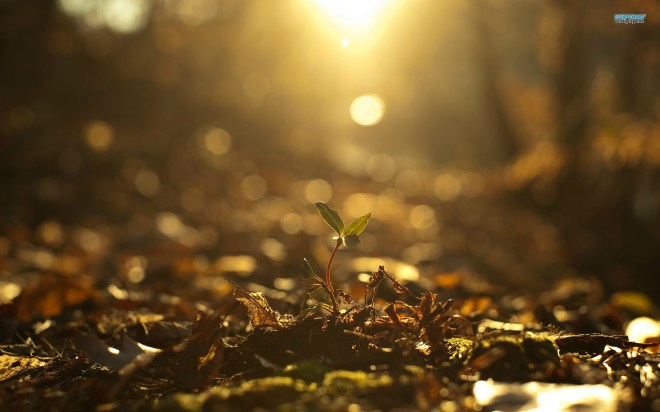 new-beginning-16510-1920x1200