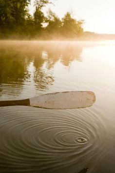 fdc42fb034d24f948337fb6da9c5648d