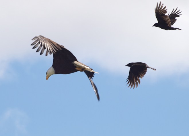 Photo Cortosey of Ingrid Taylor