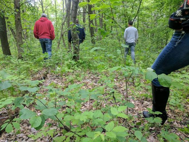 19400007_520363726052_4429733484753775834_n